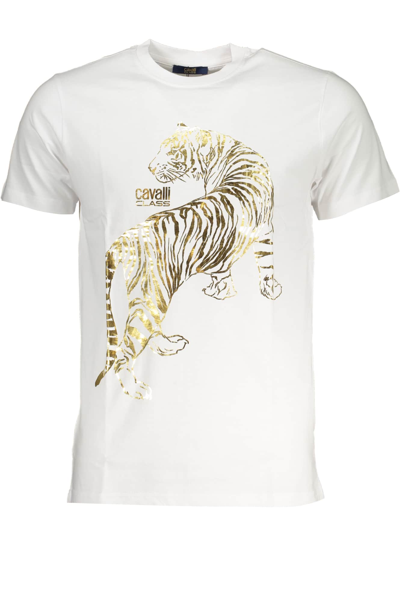 CAVALLI CLASS GRÜN HERREN KURZARM T-SHIRT
