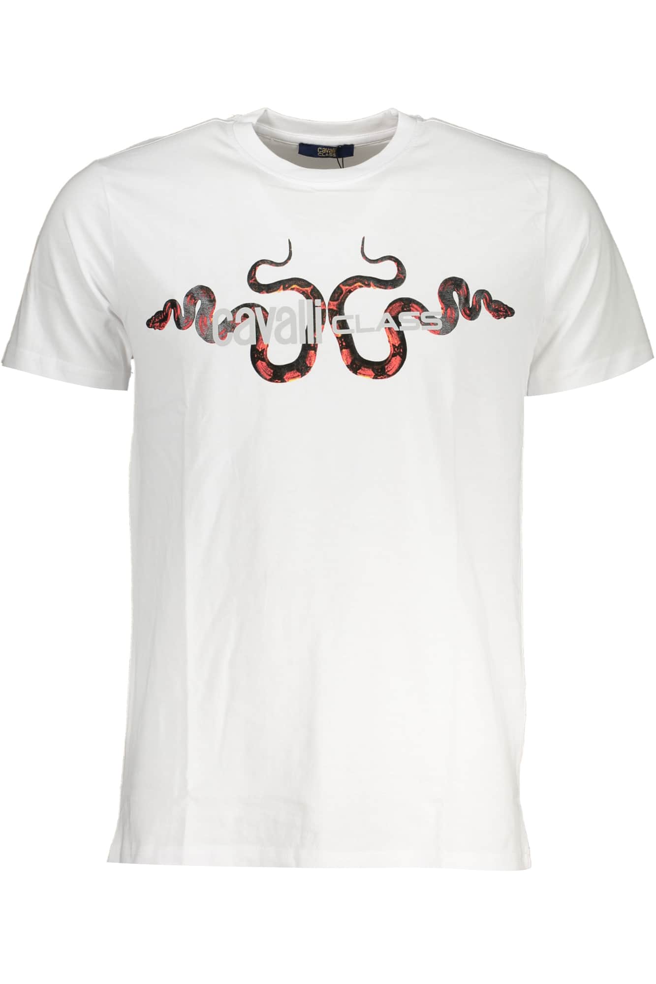 CAVALLI CLASS GRÜN HERREN KURZARM T-SHIRT