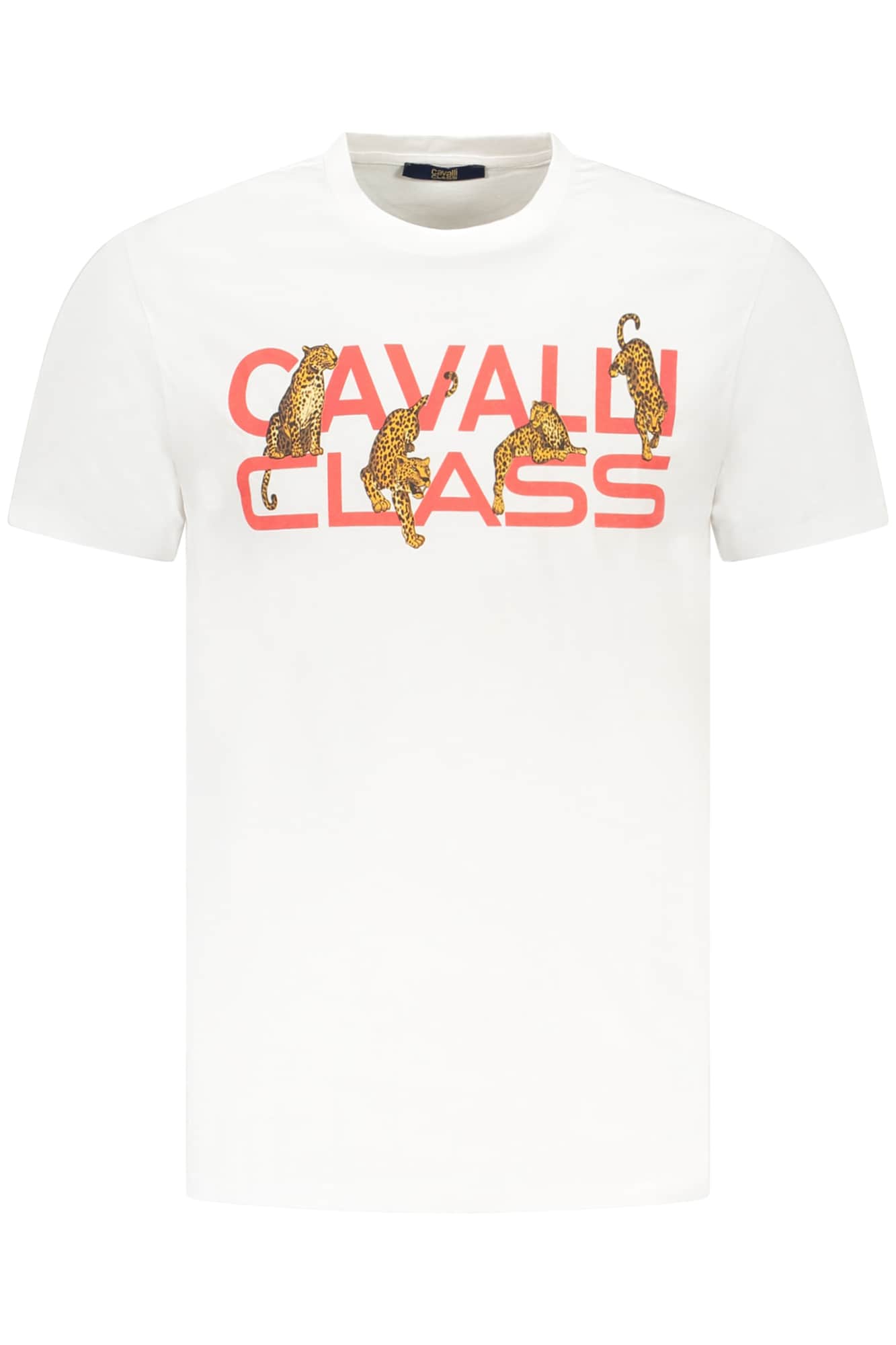 CAVALLI CLASS KURZARM T-SHIRT HERREN WEISS