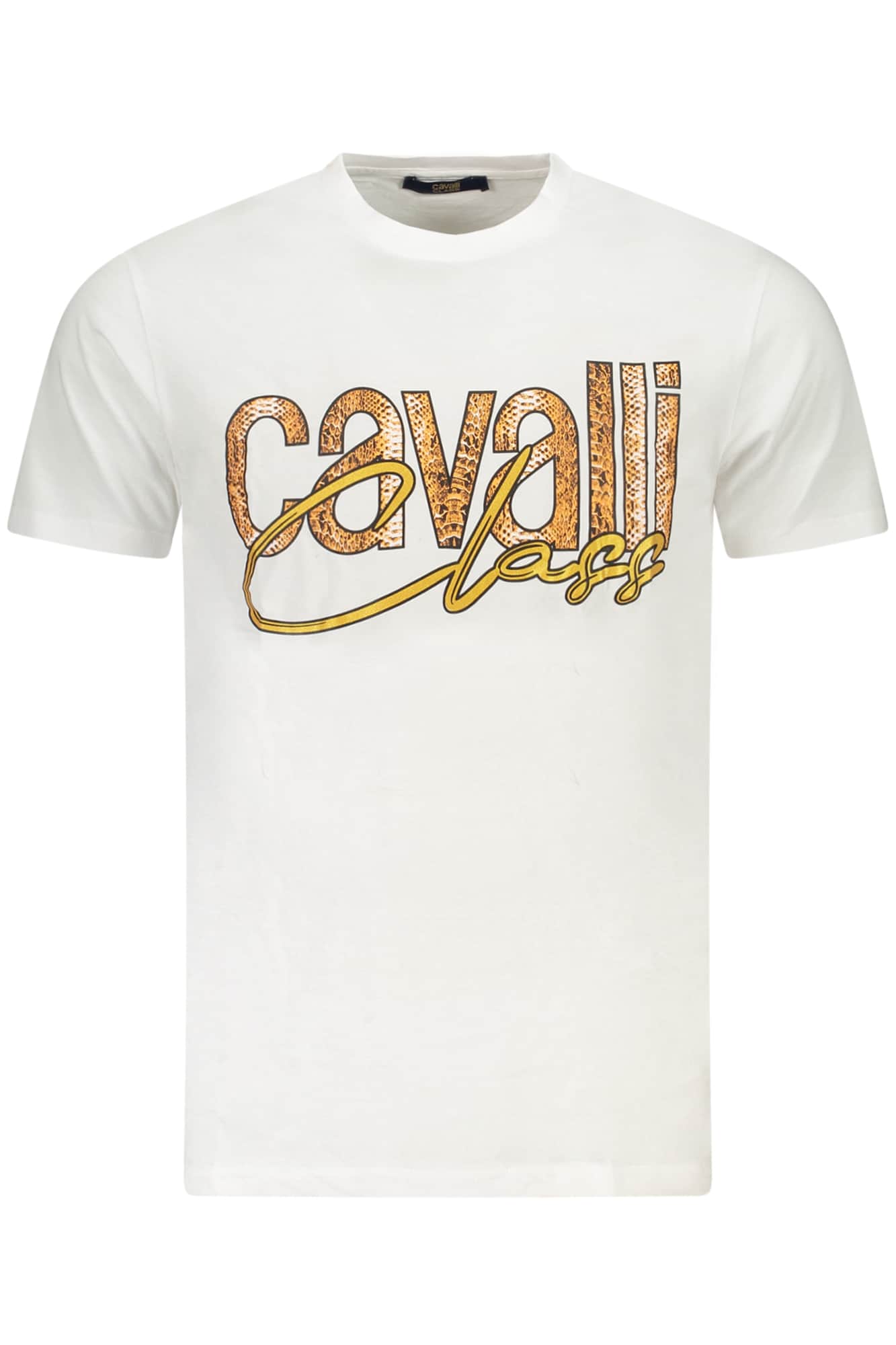 CAVALLI CLASS KURZARM T-SHIRT HERREN GRÜN
