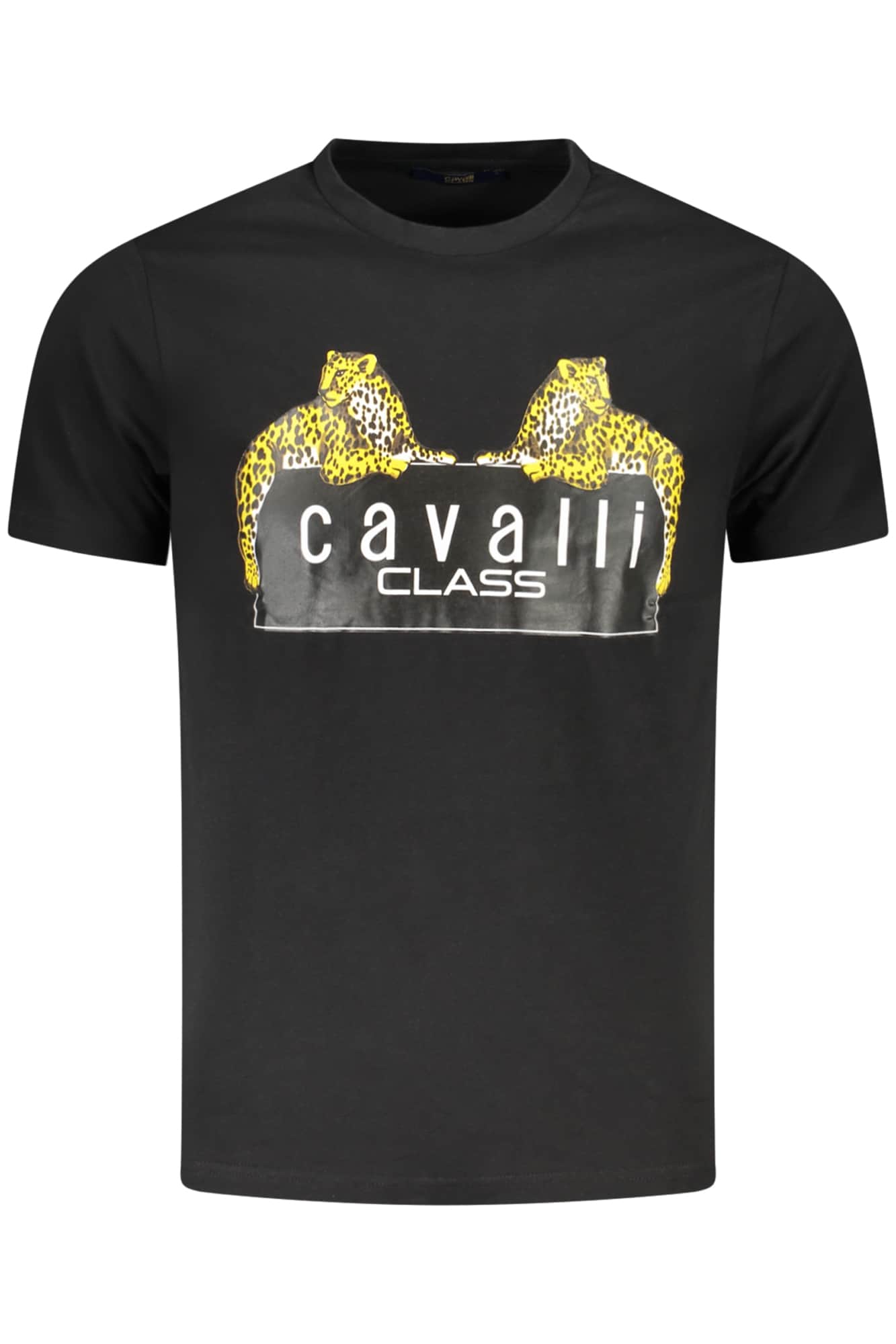 CAVALLI CLASS KURZARM T-SHIRT HERREN GRÜN