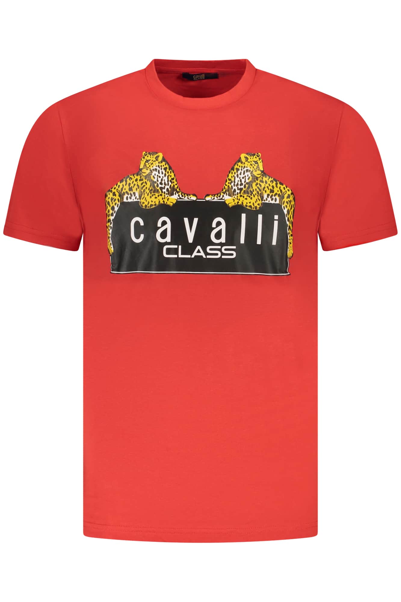 CAVALLI CLASS KURZARM T-SHIRT HERREN GRÜN