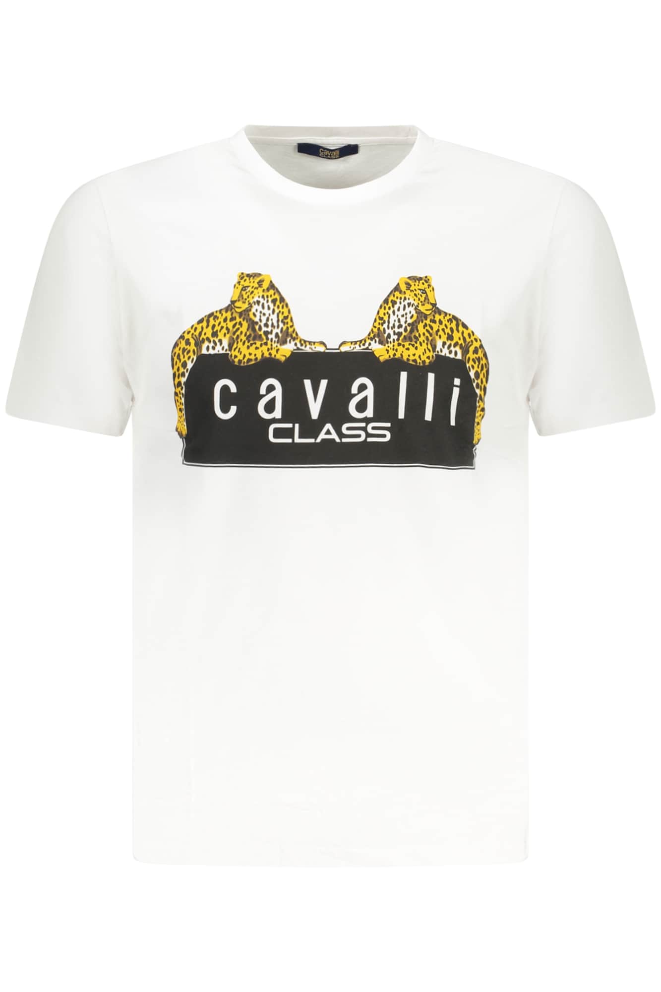 CAVALLI CLASS KURZARM T-SHIRT HERREN GRÜN