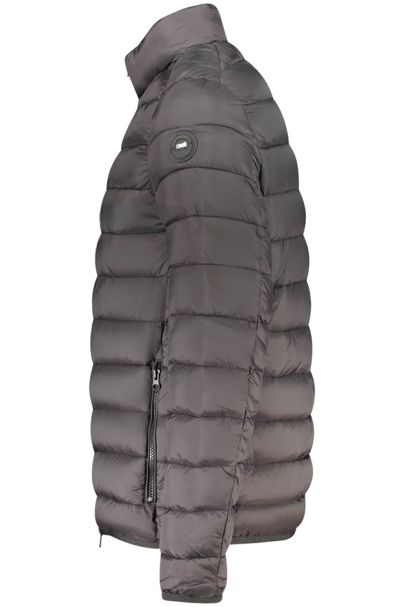 Cavalli Class herren grün jacke